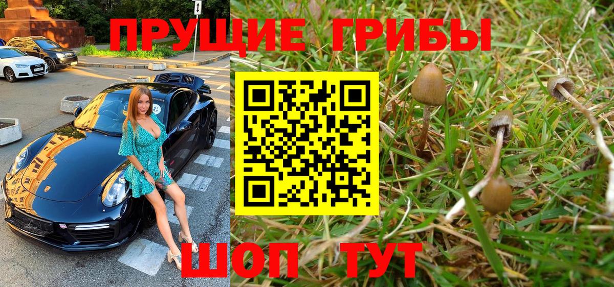 Псилоцибиновые грибы MAGIC MUSHROOMS  Вход с VPN  Славянск-на-Кубани  купить наркотики цена  Псилоцибиновые грибы прущие грибы 