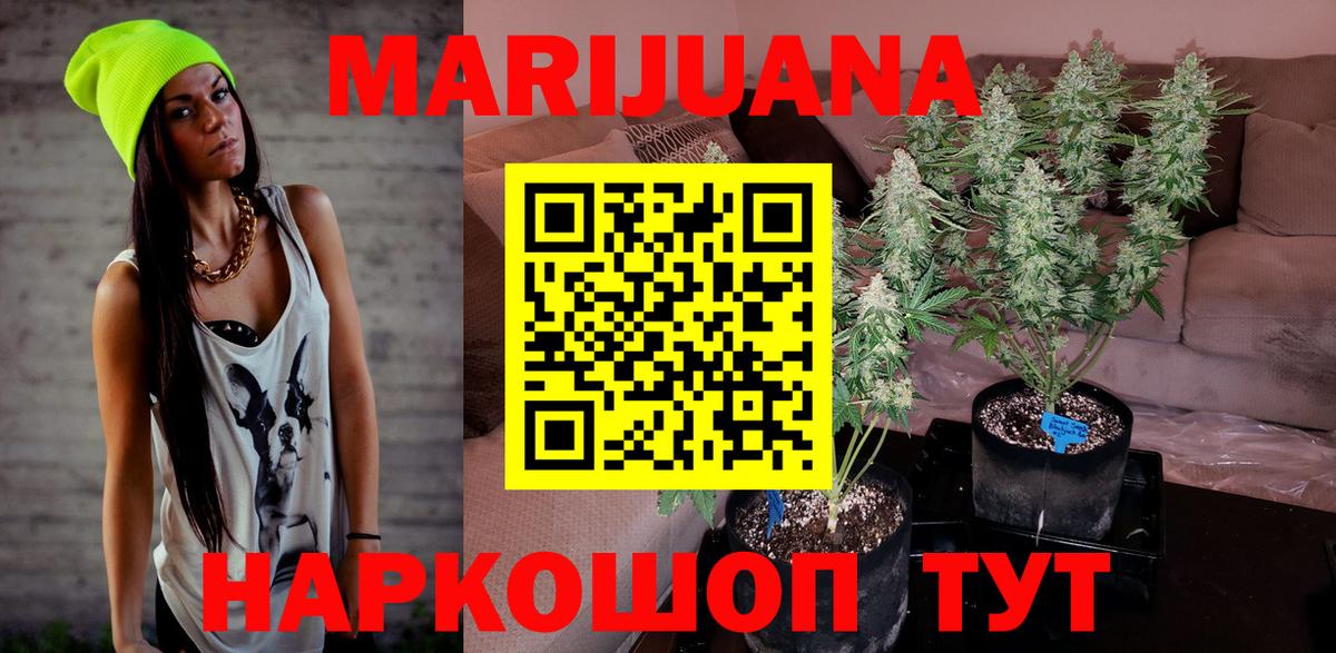 Бошки Шишки план Славянск-на-Кубани